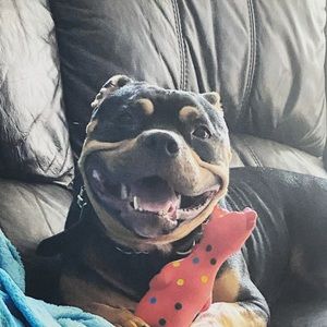 Meet your Posher, Ashley